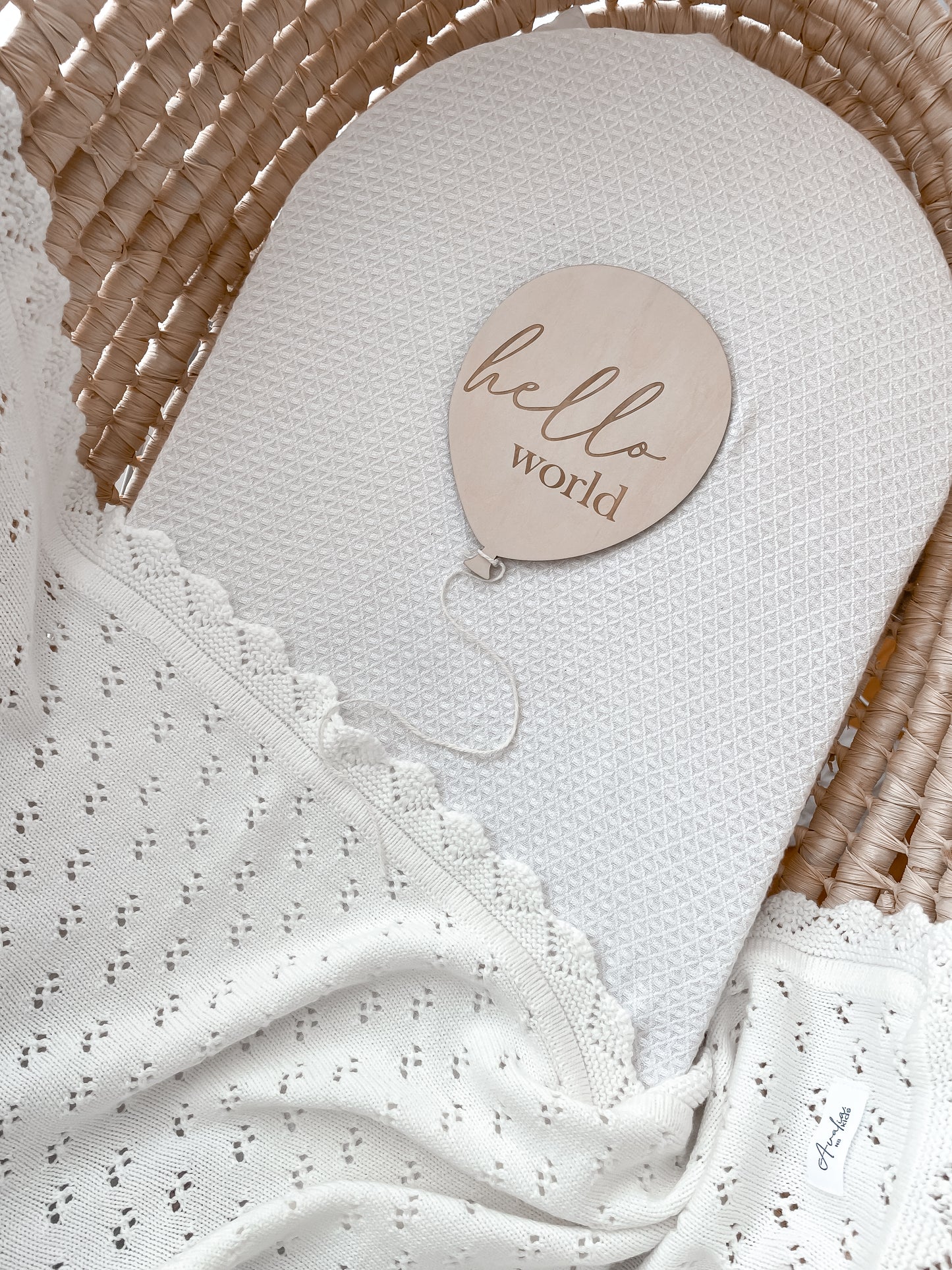 Hello World Plaque - Balloon