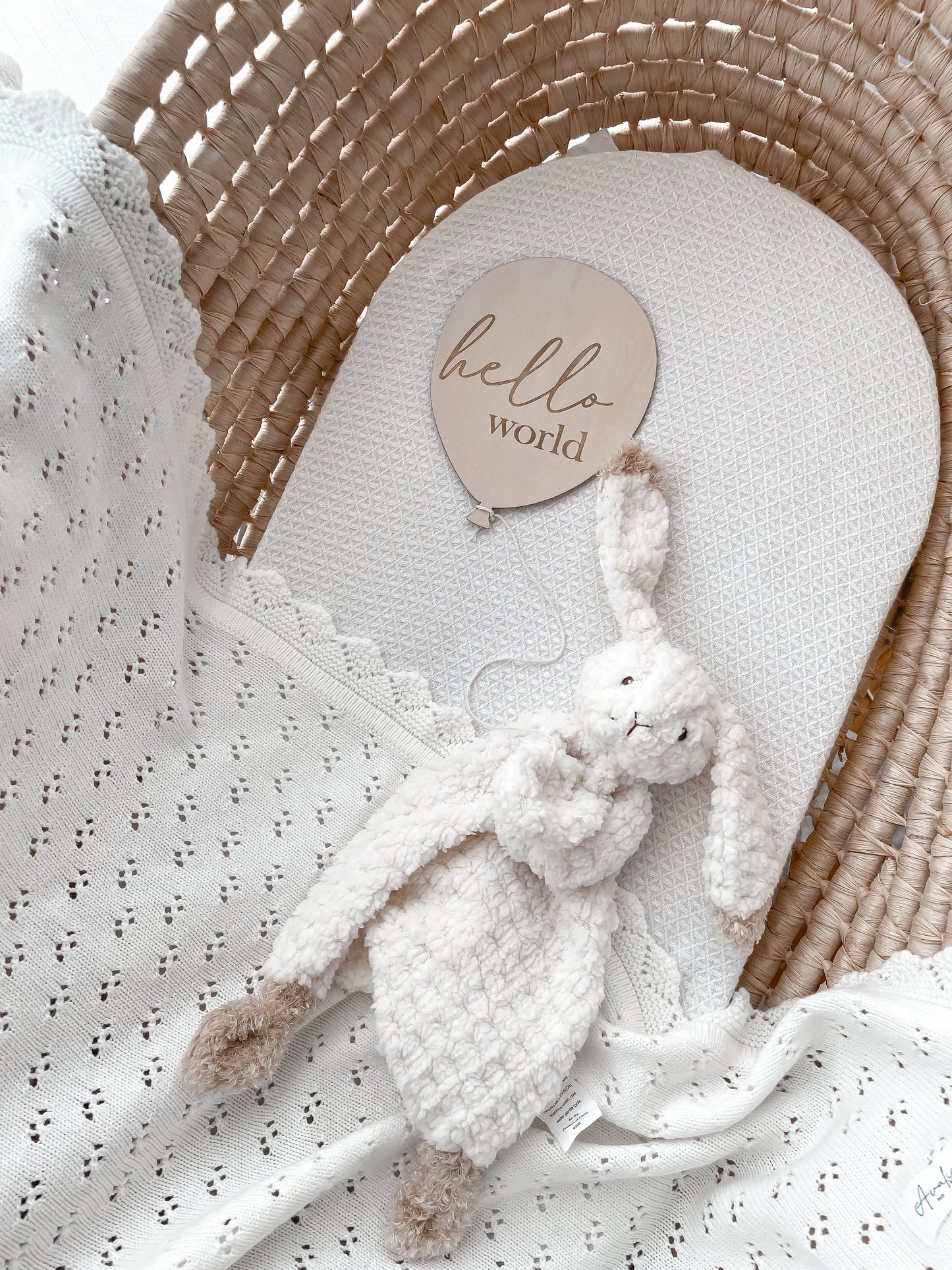 Hello World Plaque - Balloon