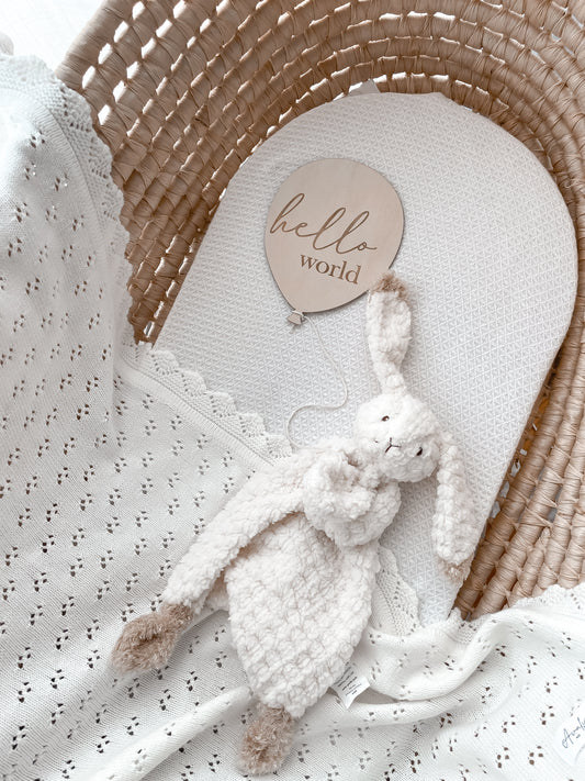 Hello World Plaque - Balloon