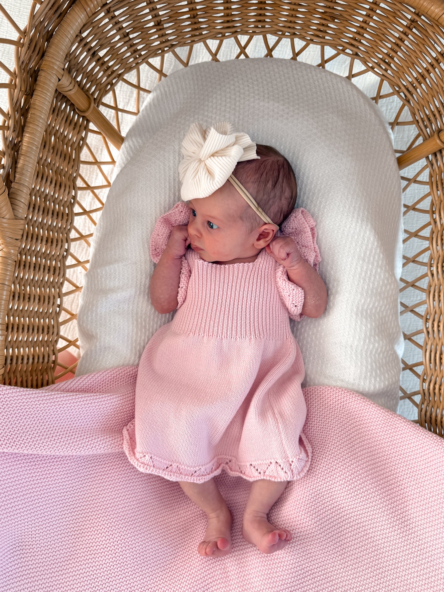 Dahlia Pointelle Knitted Dress - Fairy Floss